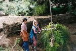 Terabithia