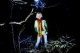 /plume/xmedia/fantasy/news/autres_films/thumb/5_pftrs005_thumb.jpg