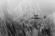 /plume/xmedia/fantasy/news/autres_films/thumb/at-the-mountains-of-madness_thumb.jpg