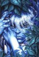 /plume/xmedia/fantasy/news/autres_films/thumb/elf1_thumb.jpg