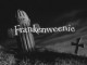 /plume/xmedia/fantasy/news/autres_films/thumb/franken_thumb.jpg
