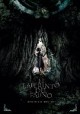 /plume/xmedia/fantasy/news/autres_films/thumb/pan-poster_thumb.jpg