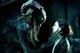 /plume/xmedia/fantasy/news/autres_films/thumb/pans_labyrinth4_thumb.jpg