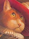 Un autre chat