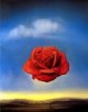 /plume/xmedia/fantasy/news/autres_films/thumb/salvador_dali_the_rose_thumb.jpg