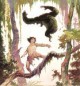 /plume/xmedia/fantasy/news/autres_films/thumb/tarzfraz_thumb.jpg