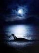 /plume/xmedia/fantasy/news/autres_films/thumb/waterhorseposter_thumb.jpg