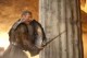 /plume/xmedia/fantasy/news/autres_films/titans/thumb/Titans_Worthington_2_thumb.jpg