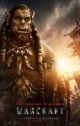/plume/xmedia/fantasy/news/autres_films/warcraft/affiches/thumb/warcraft-poster-durotan_thumb.jpg