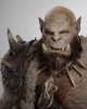/plume/xmedia/fantasy/news/autres_films/warcraft/photos/thumb/Warcraft_Orgrim-819x1024_thumb.jpg
