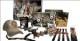 /plume/xmedia/fantasy/news/eragon/merchandising/thumb/GoodyBagB3_thumb.jpg