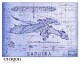 /plume/xmedia/fantasy/news/eragon/saphira/thumb/saphira_blueprint_thumb.jpg
