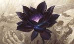 Lotus Noir