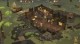 /plume/xmedia/fantasy/news/jv/2016/thumb/tavern-keeper_thumb.jpg