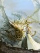 /plume/xmedia/fantasy/news/jv/2017/thumb/project-prelude-rune-2_thumb.jpg