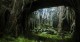 /plume/xmedia/fantasy/news/jv/Dragon_Age/thumb/da31_thumb.jpg