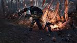witcher2