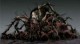 /plume/xmedia/fantasy/news/jv/thumb/darksouls1_thumb.jpg
