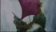 /plume/xmedia/fantasy/news/narnia/aurore/artworks/thumb/pass2_thumb.jpg