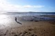 /plume/xmedia/fantasy/news/narnia/aurore/thumb/wellington-point_thumb.jpg