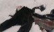/plume/xmedia/fantasy/news/narnia/dvd/thumb/narnia-ee1_thumb.jpg
