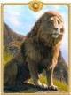 /plume/xmedia/fantasy/news/narnia/photos-officielles/thumb/narnia_oscar_thumb.jpg