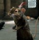 /plume/xmedia/fantasy/news/narnia/prince-caspian/photos/thumb/Reepicheep-film_thumb.jpg