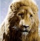 /plume/xmedia/fantasy/news/narnia/prince-caspian/photos/thumb/moviefone-aslan_thumb.jpg