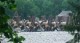 /plume/xmedia/fantasy/news/narnia/prince-caspian/tournage/thumb/narnia112y34_thumb.jpg