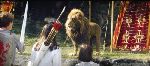 Aslan et les enfants
