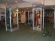 /plume/xmedia/fantasy/news/narnia/thumb/guerriers_faunes_thumb.jpg
