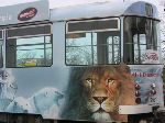 Le tram