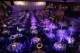 /plume/xmedia/fantasy/news/oscars/bafta/thumb/event-bafta_thumb.jpg