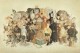 /plume/xmedia/fantasy/news/parutions/thumb/DiscworldMassif2072dpi_thumb.jpg