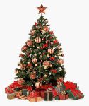Sapin