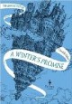 /plume/xmedia/fantasy/news/parutions/thumb/mirror_visitor_thumb.jpg