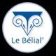 /plume/xmedia/fantasy/news/parutions/vo/logo-belial_thumb.png