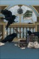 /plume/xmedia/fantasy/news/parutions/vo/thumb/Ravens-Library_thumb.jpg