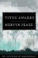 /plume/xmedia/fantasy/news/parutions/vo/thumb/Titus_Awakes_thumb.jpg