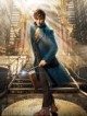 /plume/xmedia/fantasy/news/potter/animaux/photos/thumb/fantastic-beasts-08_thumb.jpg