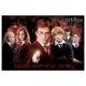 /plume/xmedia/fantasy/news/potter/phenix-film/affiches/thumb/movies_ootp_posters_dagermany_02_thumb.jpg
