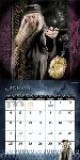 /plume/xmedia/fantasy/news/potter/prince-film/photos/thumb/dumbymedaillon_thumb.jpg