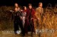 /plume/xmedia/fantasy/news/potter/prince-film/thumb/terrierattaque_thumb.jpg