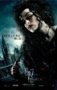 /plume/xmedia/fantasy/news/potter/reliques-film/posters/thumb/harrypotter7_19_thumb.jpg
