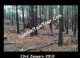 /plume/xmedia/fantasy/news/potter/reliques-film/thumb/foretswindon_thumb.jpg