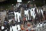 Harry Potter Theme Park 7