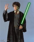 Potter sabre