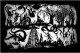 /plume/xmedia/fantasy/news/potter/tome-7/thumb/andreadezso_thumb.jpg