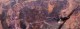 /plume/xmedia/fantasy/news/princesse-de-mars/thumb/carter1_thumb.jpg