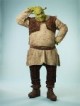 /plume/xmedia/fantasy/news/shrek/musical/thumb/shrekx-large_thumb.jpg